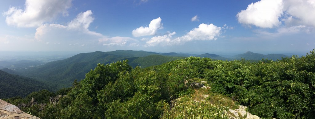 View from Hawksbill mountain. This is the highest peak in the Shenandoah National Park.